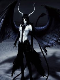 所謂的同人？耽美？